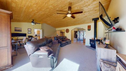2873 Lodge Pole Rd, Overgaard, AZ 85933 photo 2