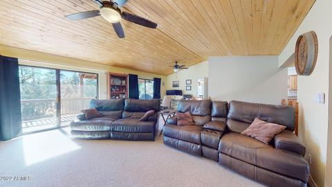 2873 Lodge Pole Rd, Overgaard, AZ 85933 photo 3