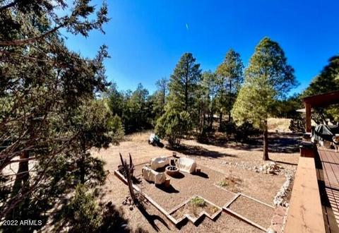 2873 Lodge Pole Rd, Overgaard, AZ 85933 photo 26