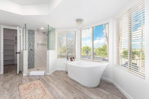 332 E Hope St, Mesa, AZ 85201 photo 43