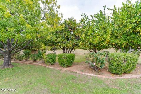 3840 E June Cir, Mesa, AZ 85205 photo 73