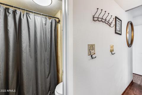 305 E Ambassador Dr, Tempe, AZ 85288 photo 30