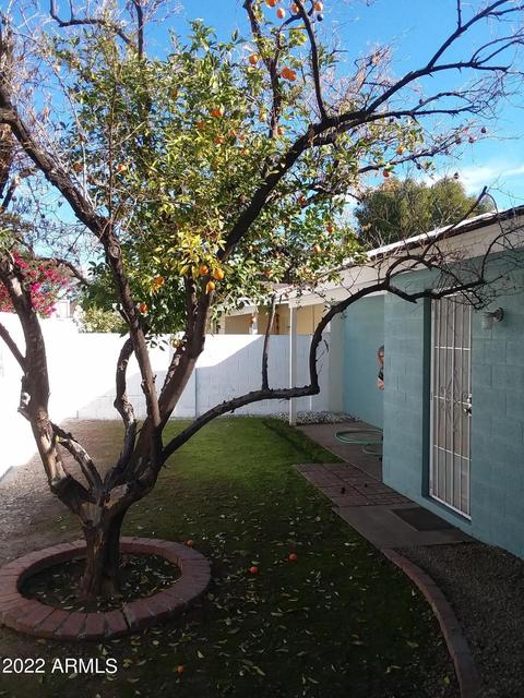 126 E Anderson Ave, Phoenix, AZ 85022 photo 5