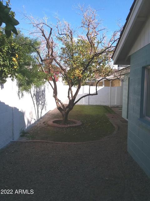 126 E Anderson Ave, Phoenix, AZ 85022 photo 25