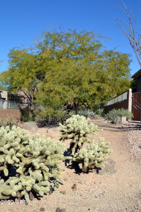 7656 E Sierra Morena St, Mesa, AZ 85207 photo 13