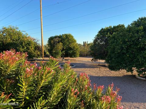 5833 E Decatur St, Mesa, AZ 85205 photo 25