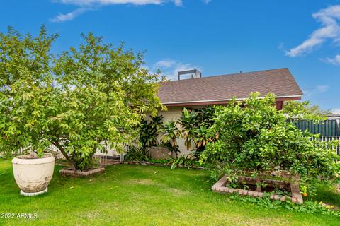 323 E Holmes Ave, Mesa, AZ 85210 photo 6
