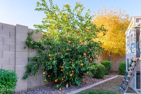 7160 E Peralta Cir, Mesa, AZ 85212 photo 49