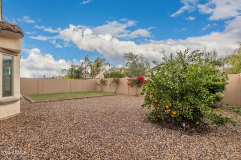 10924 E Tumbleweed Ave, Mesa, AZ 85212 photo 23