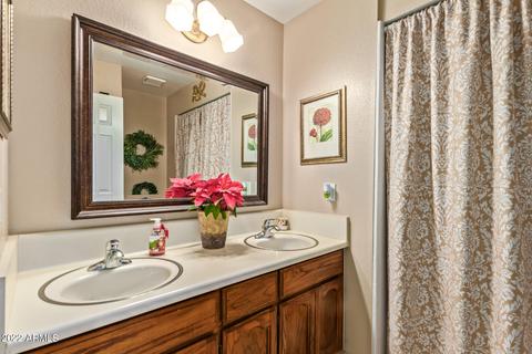 1437 E Indigo Cir, Mesa, AZ 85203 photo 25