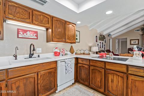 1437 E Indigo Cir, Mesa, AZ 85203 photo 17