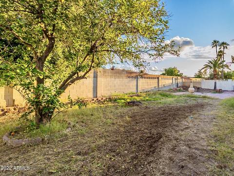 6457 E June St, Mesa, AZ 85205 photo 6
