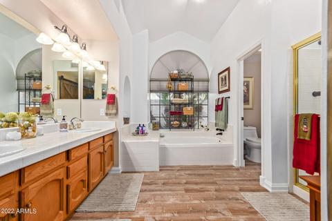 3529 E Nighthawk Way, Phoenix, AZ 85048 photo 6