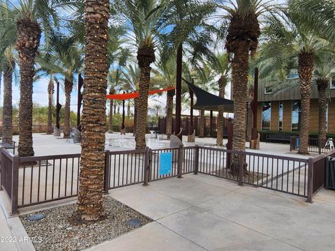 9635 E Ripple Dr, Mesa, AZ 85212 photo 36