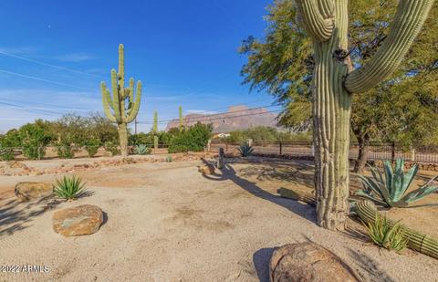 1300 S Geronimo Rd, Apache Junction, AZ 85119 photo 8