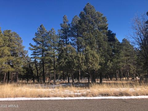 2609 Arapaho Dr #609, Happy Jack, AZ 86024