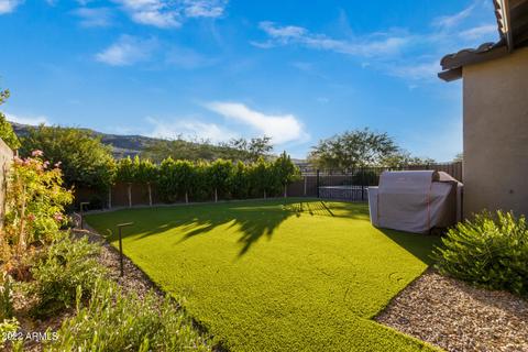 3117 E Desert Ln, Phoenix, AZ 85042 photo 46