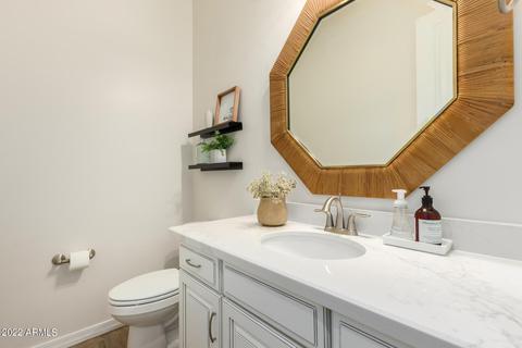 3117 E Desert Ln, Phoenix, AZ 85042 photo 15
