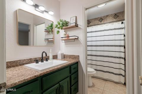 4816 E Downing Cir, Mesa, AZ 85205 photo 25