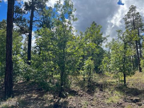 900 E Rim Rd # V, Pinetop, AZ 85935