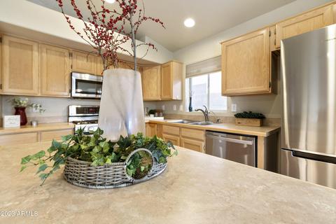 6939 E Lobo Ave, Mesa, AZ 85209 photo 17