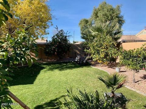 1696 E Robin Ln, Gilbert, AZ 85296 photo 23