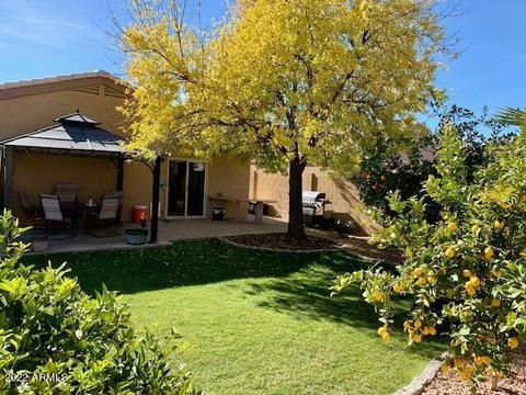 1696 E Robin Ln, Gilbert, AZ 85296 photo 14