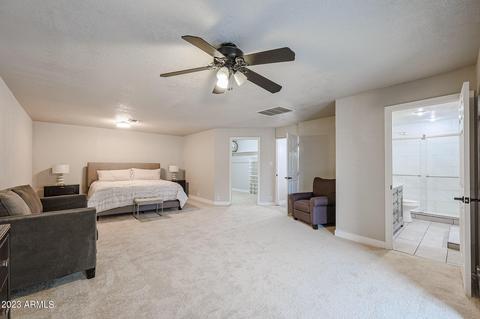 11124 E Camino Cir, Mesa, AZ 85207 photo 28