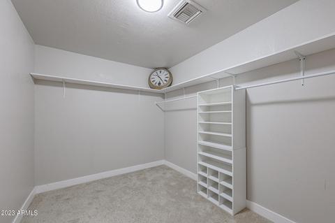 11124 E Camino Cir, Mesa, AZ 85207 photo 30