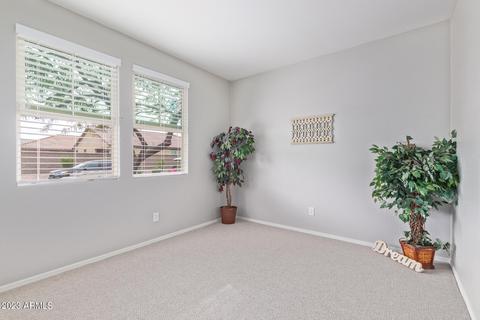 5032 E Hillview St, Mesa, AZ 85205 photo 27