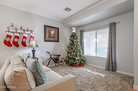 11242 E Persimmon Ave, Mesa, AZ 85212 photo 7