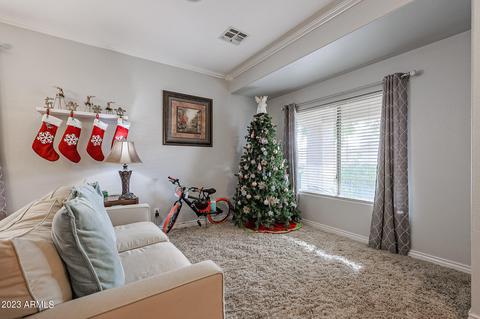 11242 E Persimmon Ave, Mesa, AZ 85212 photo 4