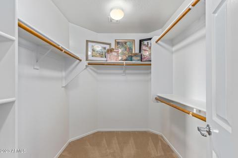 2956 E Megan St, Gilbert, AZ 85295 photo 23