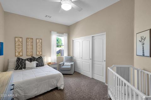 8712 E Hannibal St, Mesa, AZ 85207 photo 37