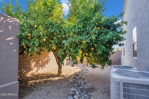 8712 E Hannibal St, Mesa, AZ 85207 photo 50