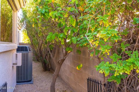5232 E Patrick Ln, Phoenix, AZ 85054 photo 40