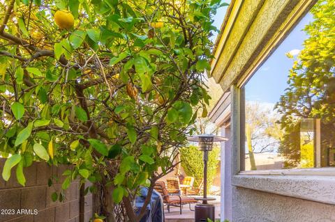 5232 E Patrick Ln, Phoenix, AZ 85054 photo 42