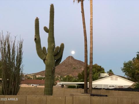 15854 N 22ndst --, Phoenix, AZ 85022 photo 5