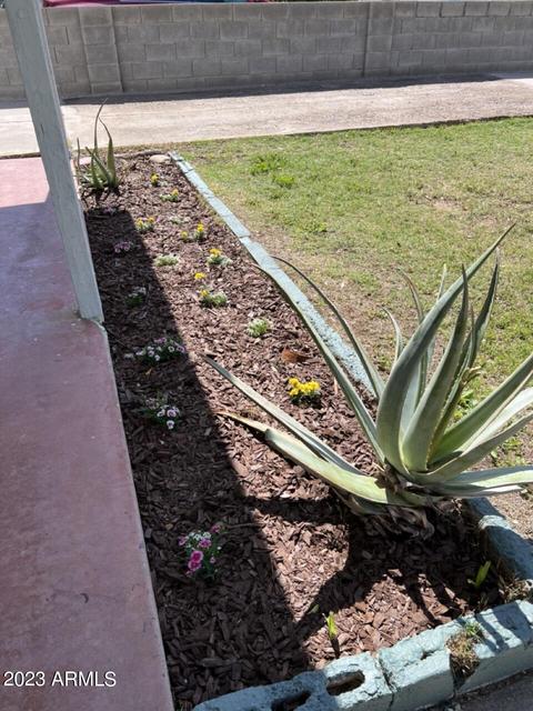 6223 S 6th Ave, Phoenix, AZ 85041 photo 9
