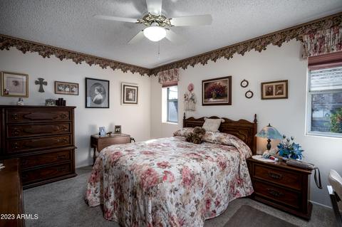 8249 E Milagro Ave E, Mesa, AZ 85209 photo 9