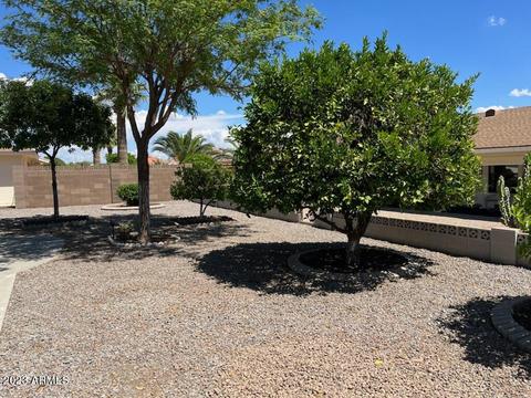 8249 E Milagro Ave E, Mesa, AZ 85209 photo 15