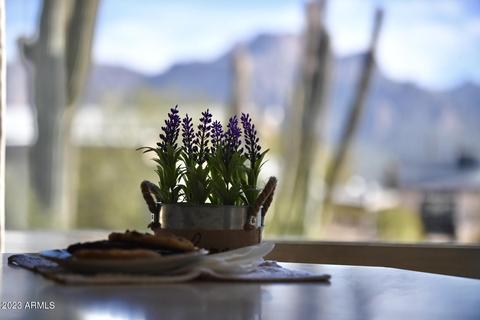747 N Starr Rd, Apache Junction, AZ 85119 photo 11