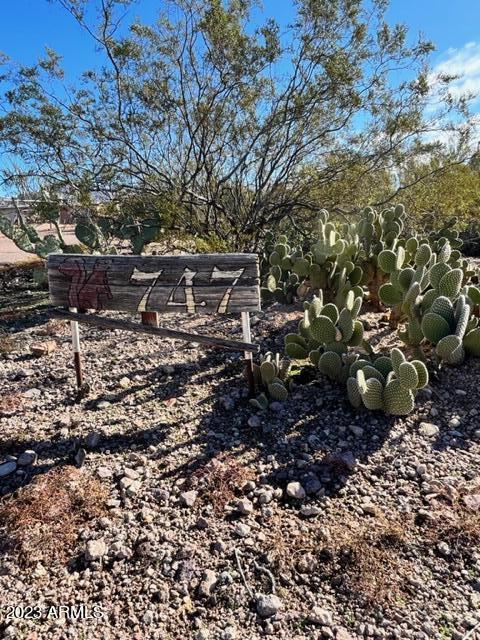 747 N Starr Rd, Apache Junction, AZ 85119 photo 47