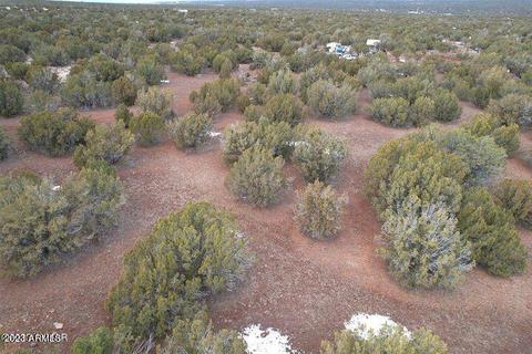 tbd Navajo Dr 1069 Acres -- #-, Show Low, AZ 85901