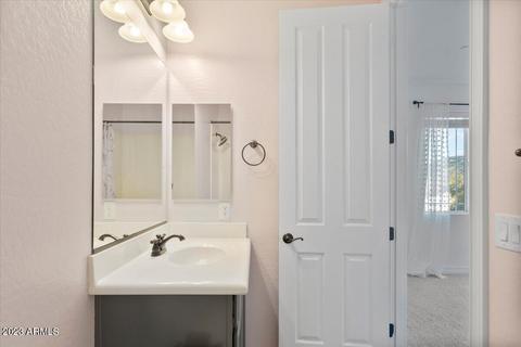 2821 E Branham Ln, Phoenix, AZ 85042 photo 40