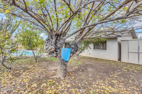 2525 E Riviera Dr, Tempe, AZ 85282 photo 25