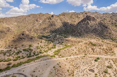 513 E Mineral Rd, Phoenix, AZ 85042 photo 38