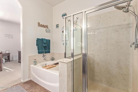 9545 E Gary St, Mesa, AZ 85207 photo 51