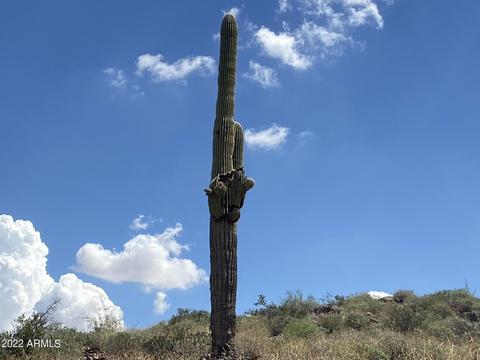 6150 E 36th Ave #2, Apache Junction, AZ 85119 photo 9