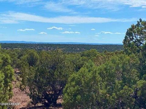 tbd Rebel Yell 3883 Acres -- #-, White Mountain Lake, AZ 85912